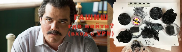 шишки Надым