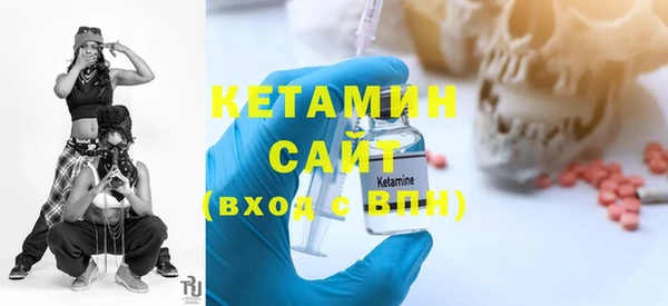 шишки Надым