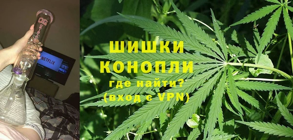 сатива Навашино