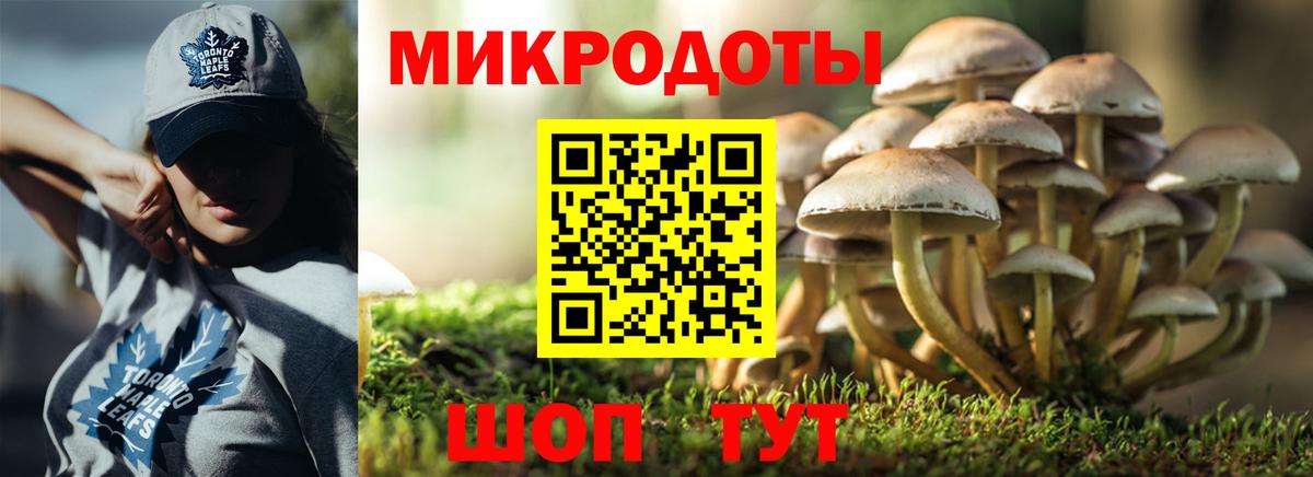 Улан-Удэ  Псилоцибиновые грибы Magic Shrooms  где найти наркотики  Псилоцибиновые грибы мухоморы  Вход с VPN 
